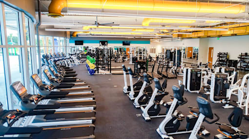 A gym with treadmills, weights, and exercise machines.