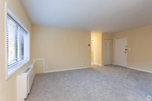 A room with a window, a carpet, and a heater.