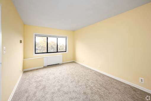 A room with a window and a carpeted floor.