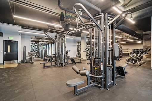 A gym with a variety of equipment including a squat rack, bench, and weights.