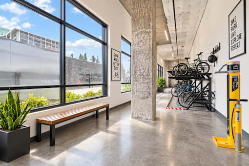 A brightly lit room with a bench, a potted plant, and a bike rack.