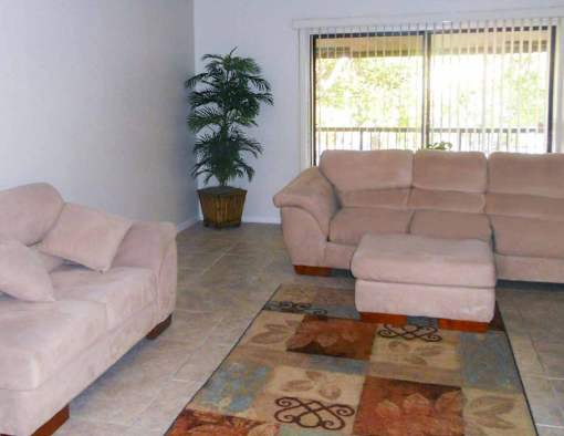 A living room with a couch, chair, and potted plant.