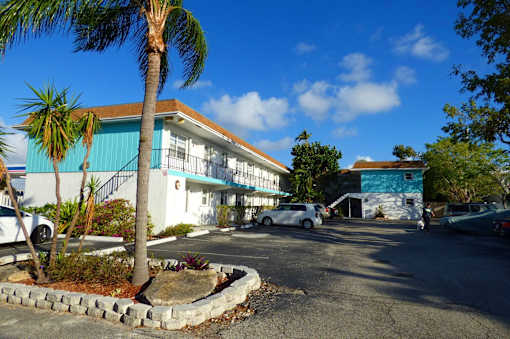 A blue building with a white roof and a palm tree in front.