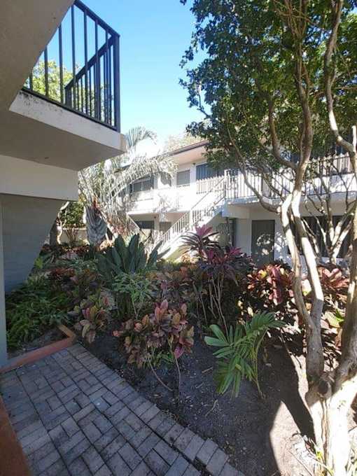 A balcony overlooks a courtyard with a tree and plants.