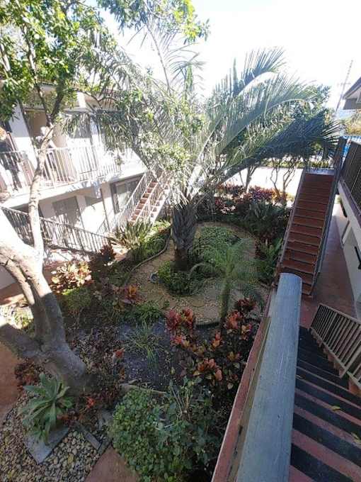 A small garden with a tree and a small pond.