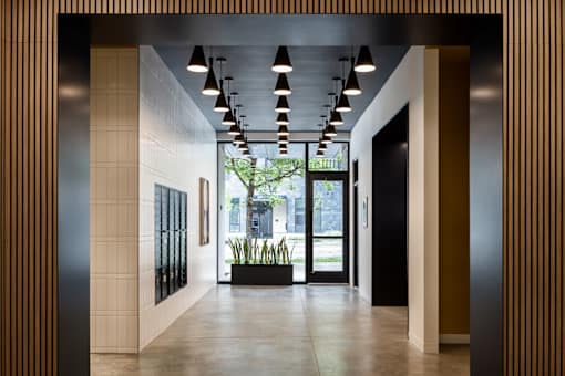 A hallway with a plant in the middle and a tree outside the window.