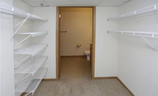 A room with white shelves and a toilet in the doorway.