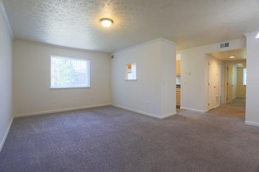 A room with a window and a carpeted floor.