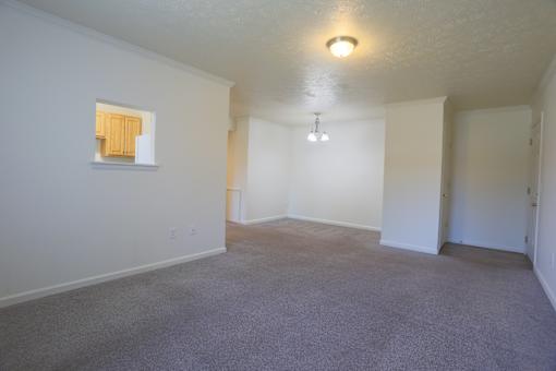 A room with a carpeted floor and a window with blinds.