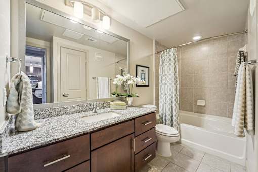 Bathroom at Kings Landing, Kingwood