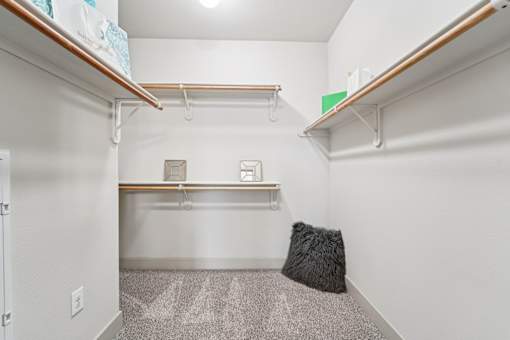 Empty Closet at Kings Landing, Texas, 77339