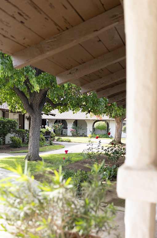 A view of a garden from under a wooden structure.
