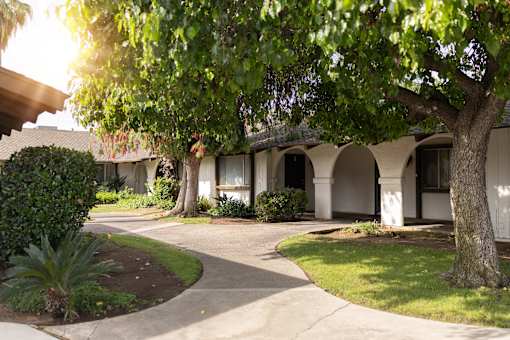 A tree with green leaves is in front of a white building.
