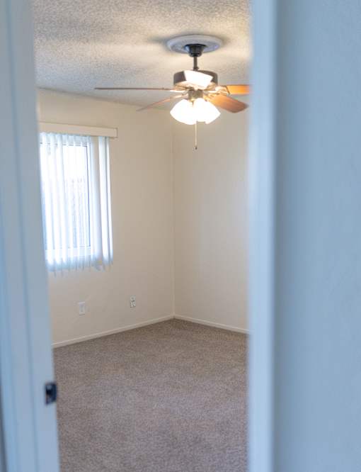 A room with a ceiling fan and carpeted floor.