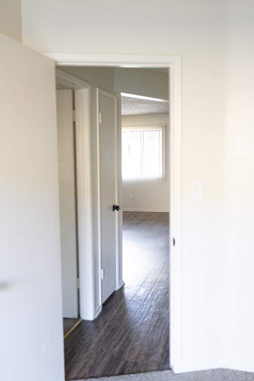 A hallway with a white door and a window.