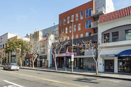 A street view of a city with buildings, trees, and a car on the road.