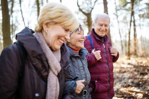 Three people are walking in the woods.