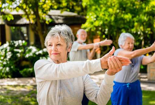 A group of elderly people doing yoga outside.