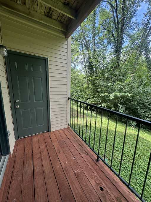 A wooden deck with a green door and a black railing.