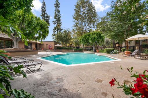 the swimming pool at our apartments