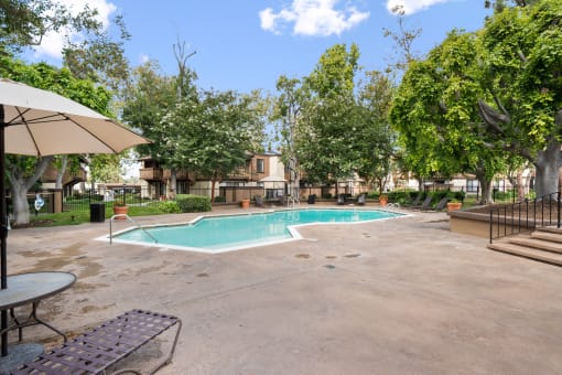 a swimming pool with trees and umbrellas at the enclave at woodbury apartments
