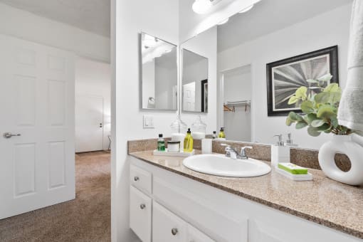 a bathroom with a sink and a mirror