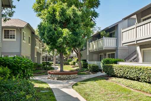 A tree in a courtyard surrounded by buildings.