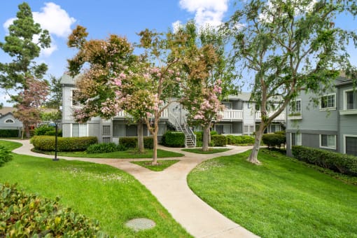 an apartment building with trees and a sidewalk