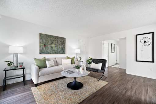 our apartments offer a living room with a couch and a coffee table