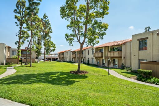 our apartments are located in the heart of the city