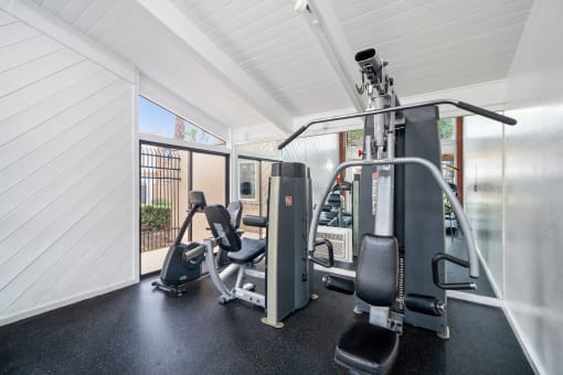 a gym with weights and cardio equipment in a home