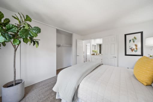 a white bedroom with a white bed and a potted plant