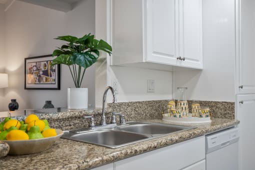 a kitchen sink with a bowl of fruit on the counter