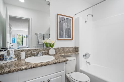 our apartments offer a bathroom with a bathtub