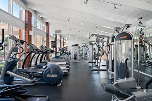 A gym with treadmills and exercise machines.