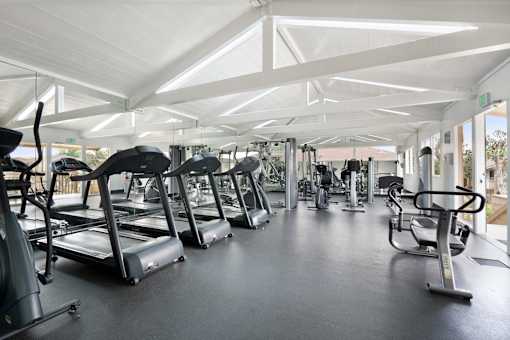 A gym with treadmills and elliptical machines.