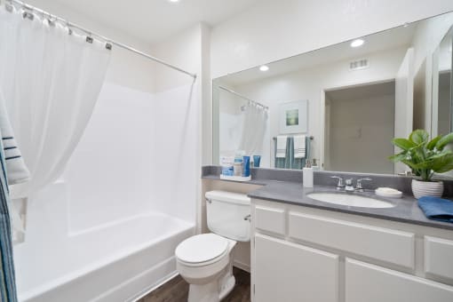 a bathroom with a sink toilet and a shower