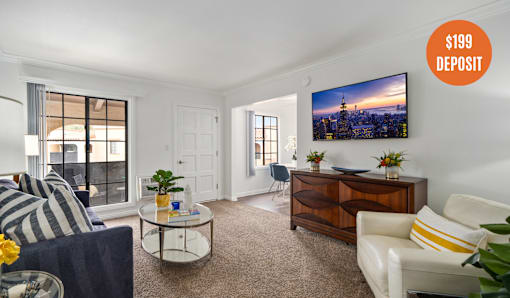 A living room with a sofa, a coffee table, a TV, and a plant.