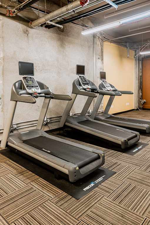 Three treadmills are lined up in a row in a room with concrete walls.