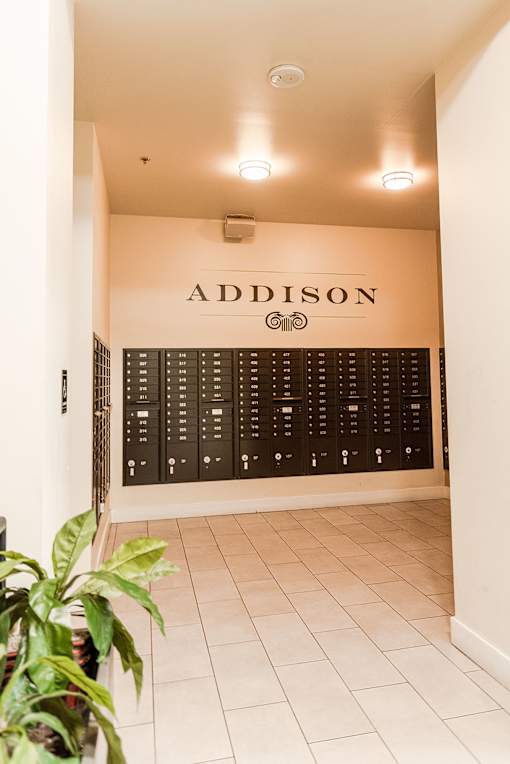 A plant sits in front of a wall with a sign that says Addison.