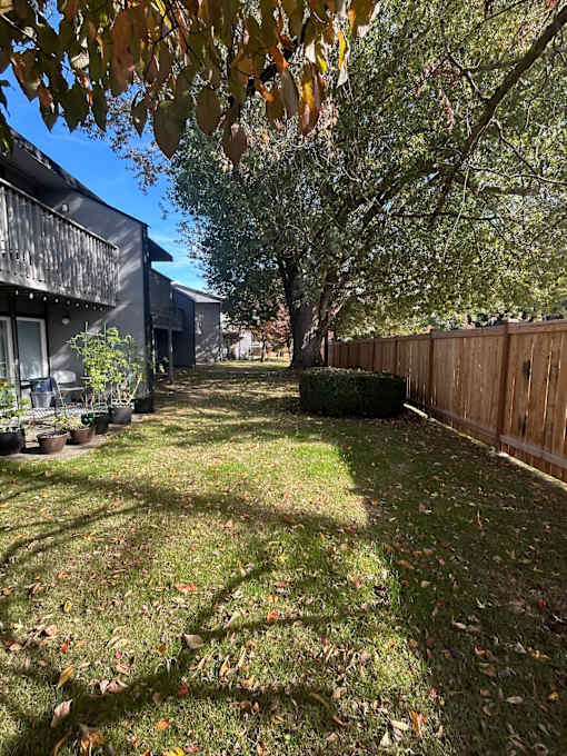 A backyard with a fence and a tree.