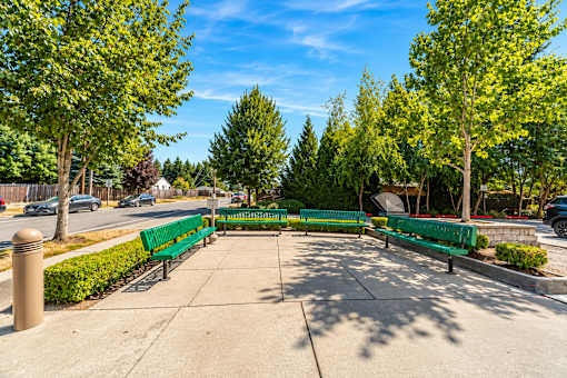A park with a bench and trees.