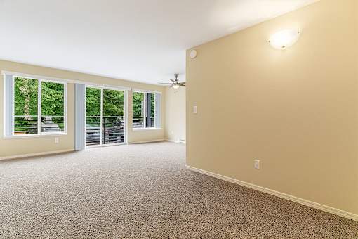 A room with a carpet floor, a ceiling fan, and a window overlooking a parking lot.