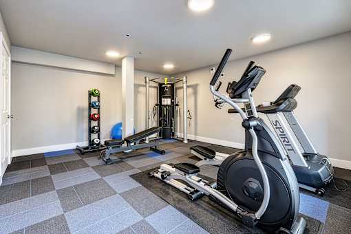 A gym with a treadmill, weights, and a squat rack.