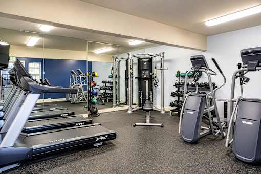A gym with a treadmill, weights, and exercise equipment.