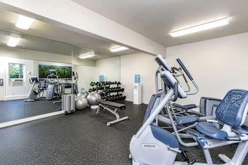 A gym with a variety of equipment including a treadmill, weights, and a stationary bike.