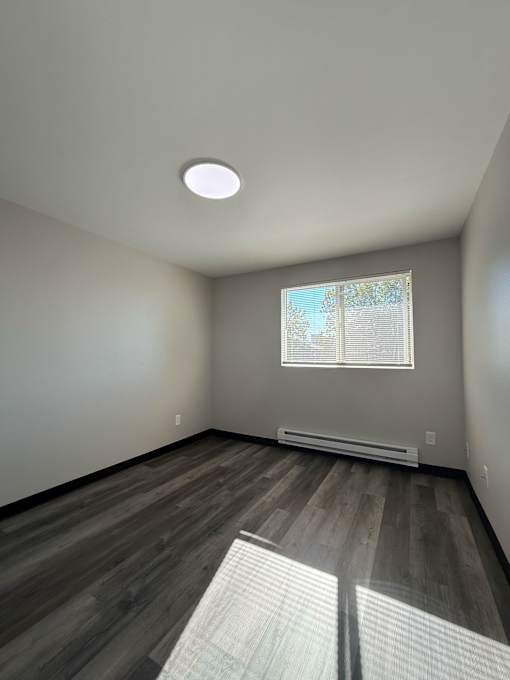A room with a window and a radiator on the wall.