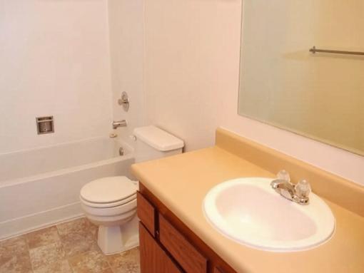 A bathroom with a toilet, sink, and mirror.
