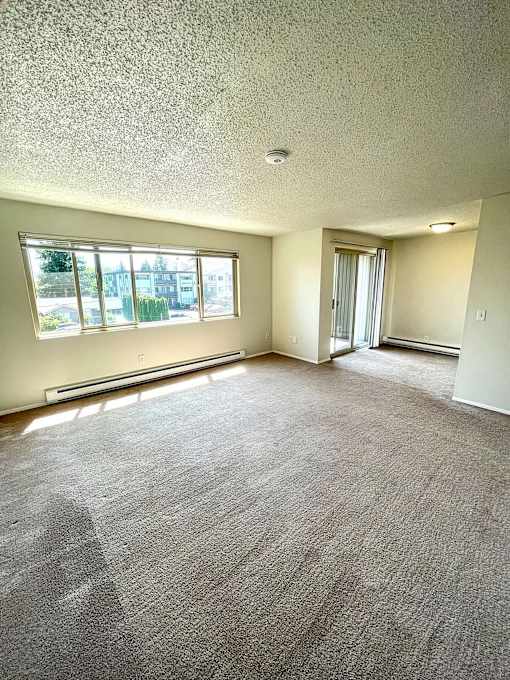 A room with a carpeted floor and a window.