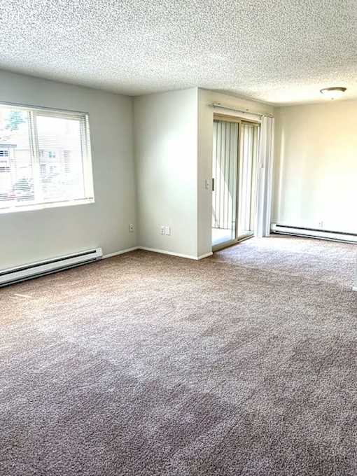 A room with a carpeted floor and a sliding door.